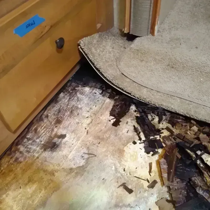 Wood Floor Water Damage in Marlboro, NJ